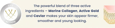 Collagen Firming Neck & Décolletage Cream